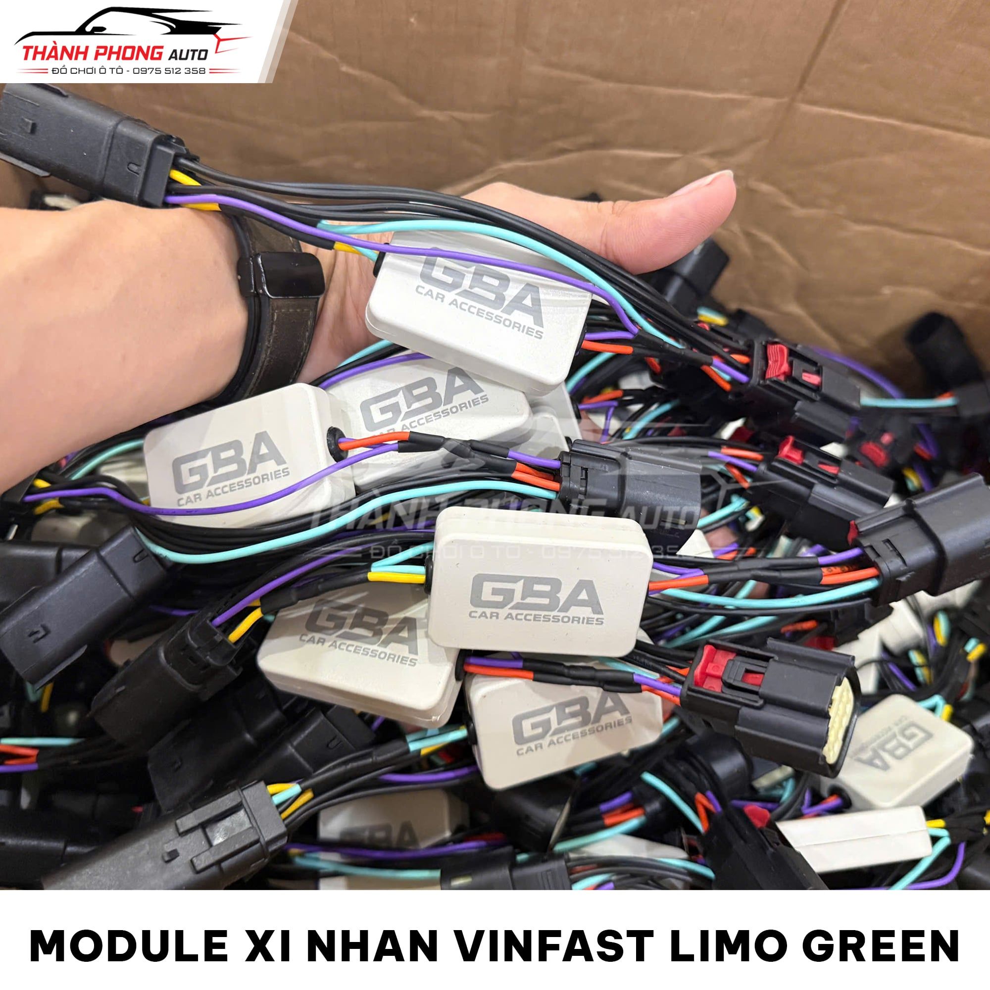  Module xi nhan mở rộng cho xe Vinfast Limo Green 