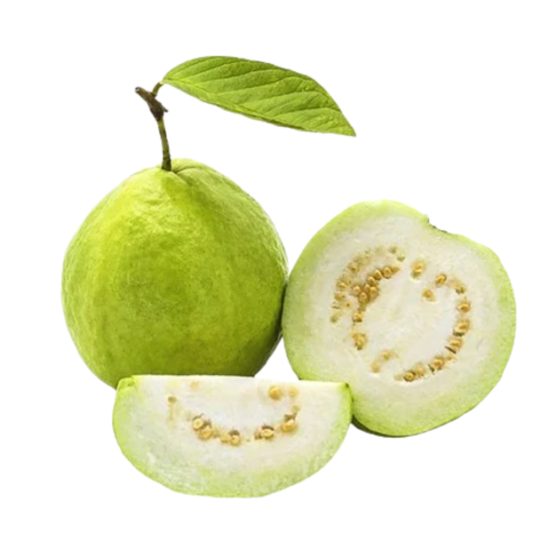 Ổi giống Đài Loan kg