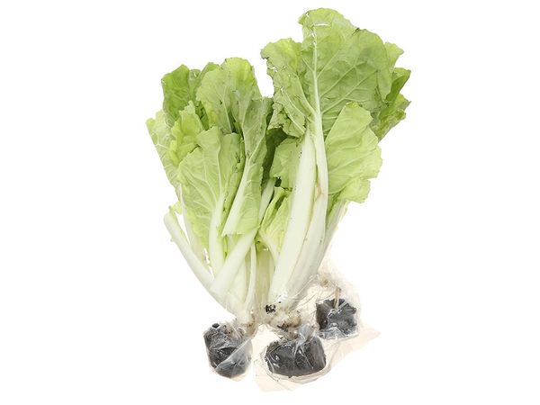 Cải bẹ dún thủy canh 300g