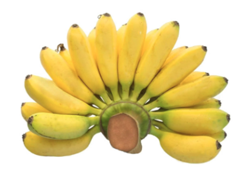 Chuối cau kg (giao ngẫu nhiên chuối sống hoặc chín)