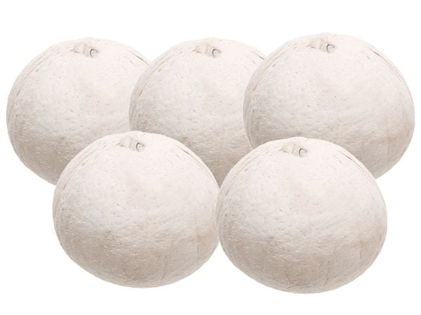 Dừa xiêm baby túi 5 trái