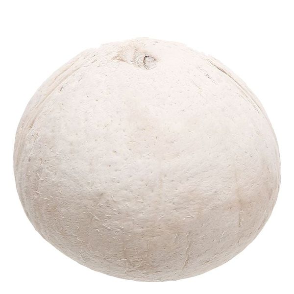 Dừa xiêm trọc trái