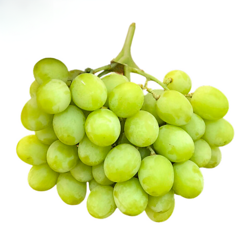 Nho xanh không hạt Mỹ kg