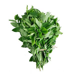 Rau bồ ngót 300g