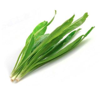 Rau ngò gai Vietgap gói 50g