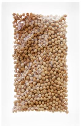 Tiêu sọ hạt 50g