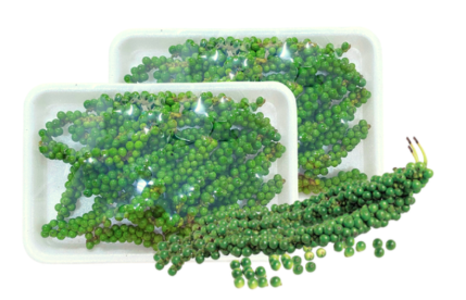 Tiêu xanh Vietgap 100g