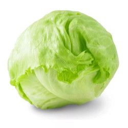 Xà lách Iceberg kg