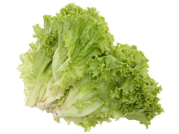 Xà lách lô lô 300g