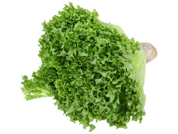 Xà lách thủy tinh thủy canh kg