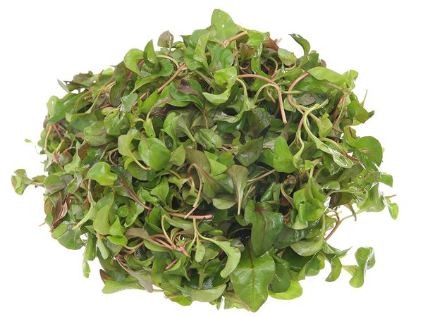 Xà lách xoong 200g