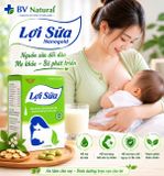  Lợi sữa Nanogold - giúp lợi sữa, hỗ trợ tăng tiết sữa, hạn chế nguy cơ tắc sữa 