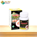  Viên uống bệnh gút Urique Kingphar Hộp 40v 