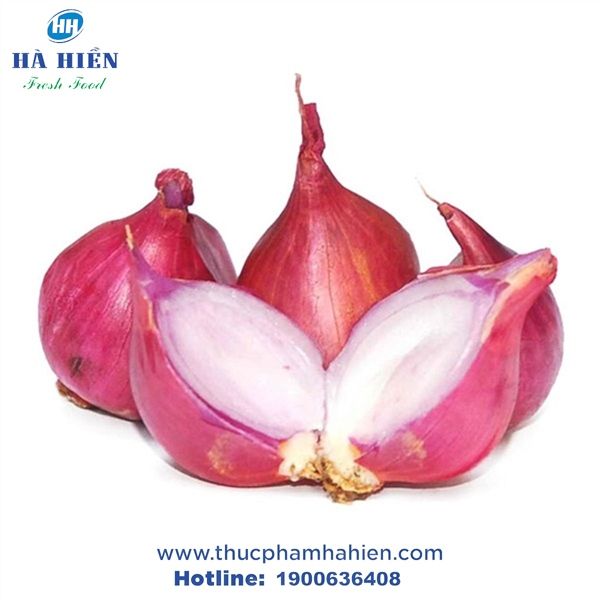  HÀNH TÍM VIỆT NAM 