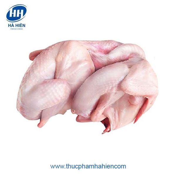  CÚT TRỐNG LÀM SẠCH 