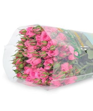  HOA HỒNG CHÙM (10 CÀNH) 