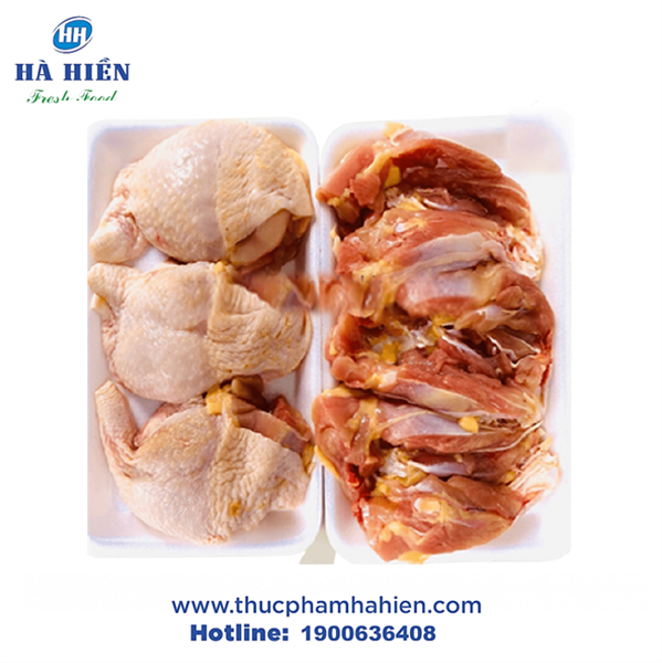  PHI LÊ ĐÙI TỎI CÓ DA 