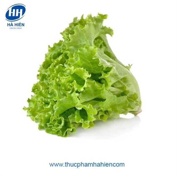  XÀ LÁCH LOLO ĐÀ LẠT 