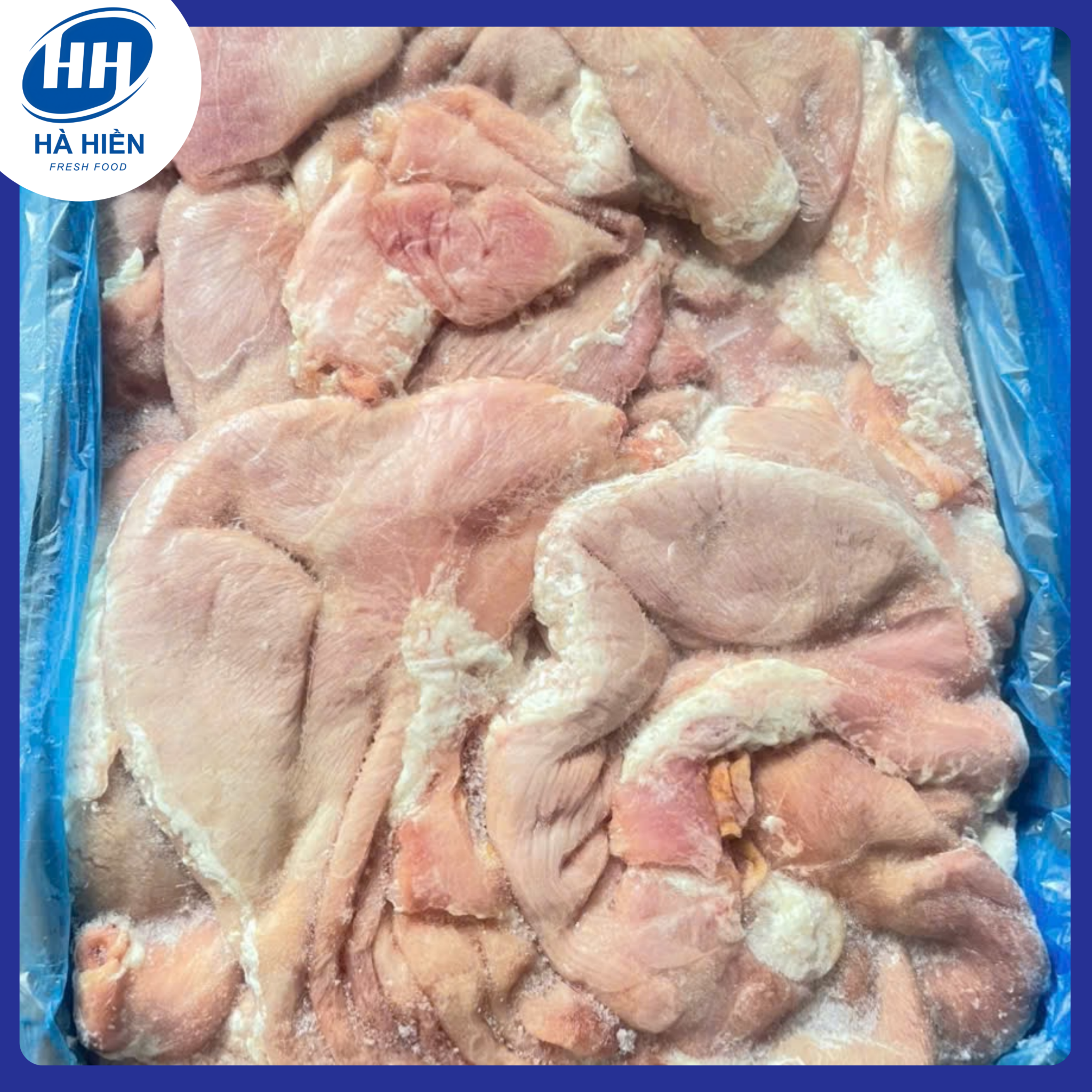  BAO TỬ/DẠ DÀY (NK - KG)/ TỪ 10KG GIẢM NGAY 10% 
