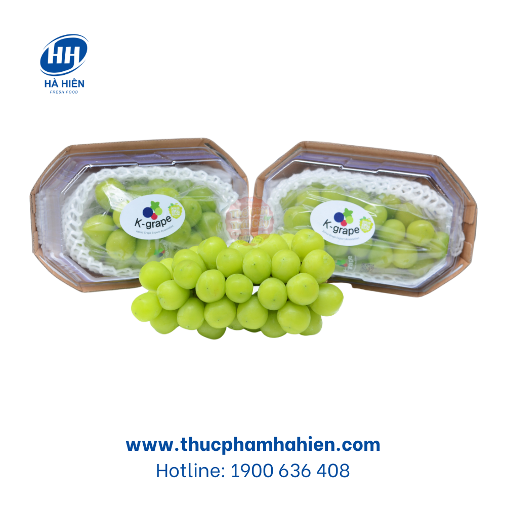  NHO MẪU ĐƠN SHINE MUSCAT 