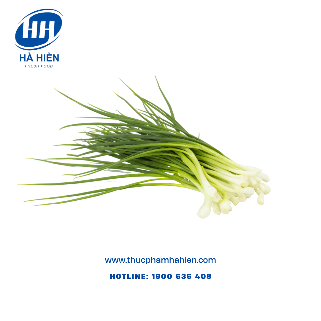  HÀNH LÁ LỘT SẴN 