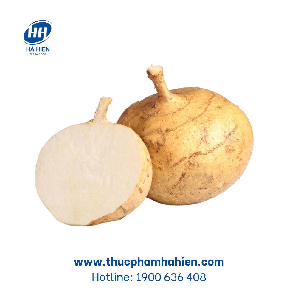  CỦ SẮN (CỦ ĐẬU) MIỀN TÂY 