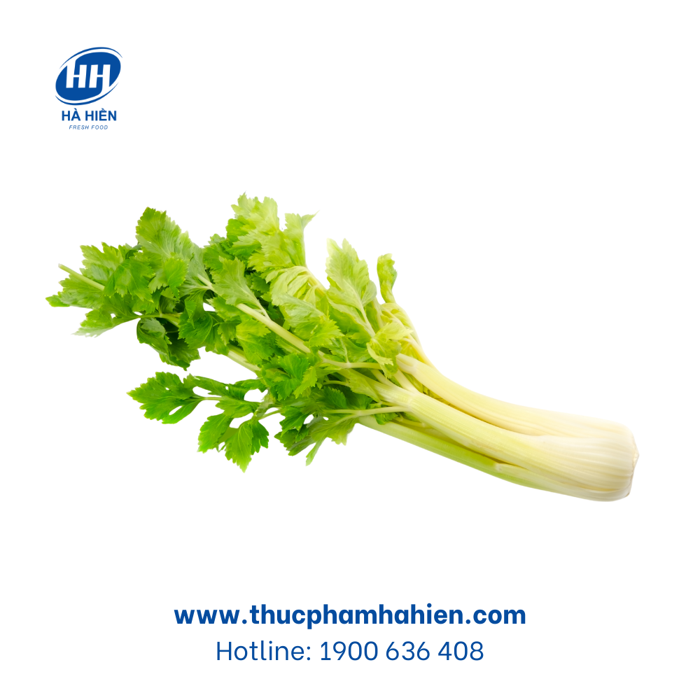  CẦN TÂY ĐÀ LẠT 500G 