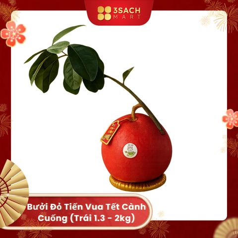  [ĐẶT TRƯỚC] Bưởi Đỏ Tiến Vua Tết Cành Cuống (Trái 1.3 - 2kg) 