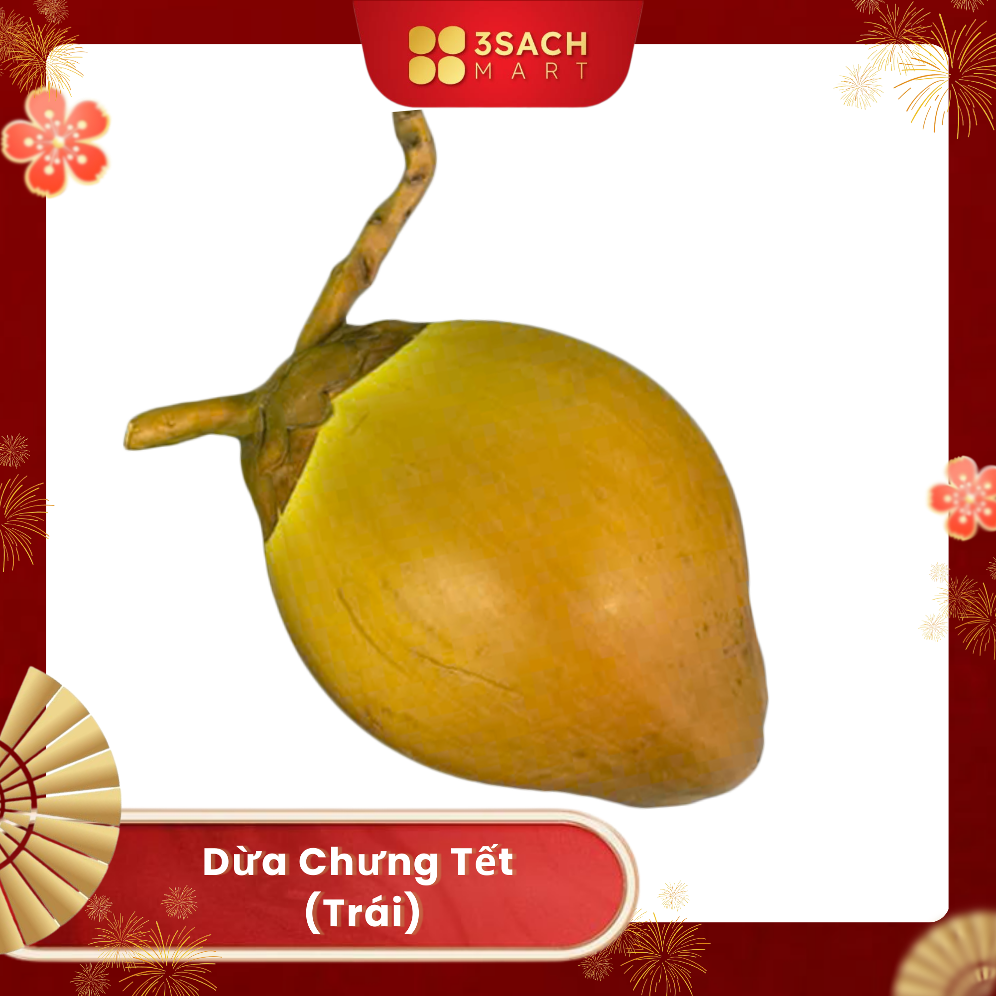  [ĐẶT TRƯỚC] Dừa Chưng Tết (Trái) 