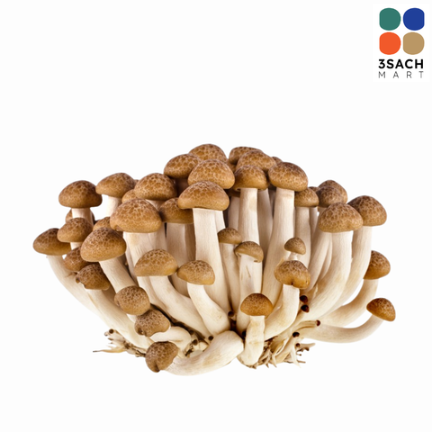  Nấm Ngọc Châm Linh Chi Nâu Hàn Quốc SK (Gói 150g) 