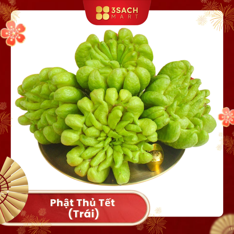  [ĐẶT TRƯỚC] Phật Thủ Tết (Trái) 