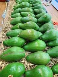  Bơ Mã Dưỡng (Kg) 
