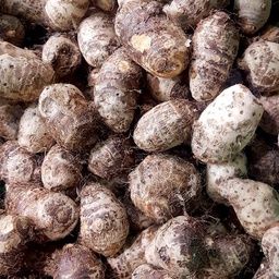  Khoai Sọ (Túi 500g) 