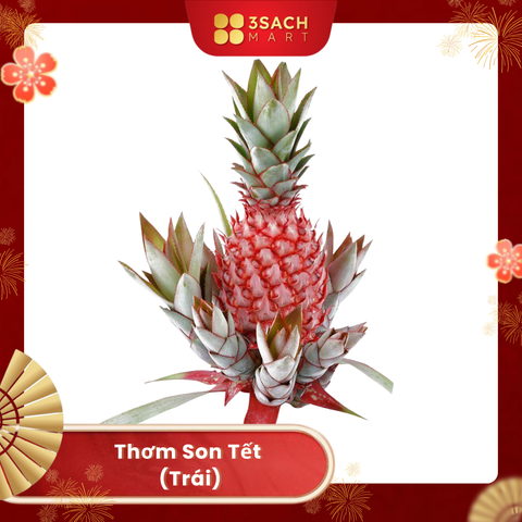  [ĐẶT TRƯỚC] Thơm Son Tết (Trái) 