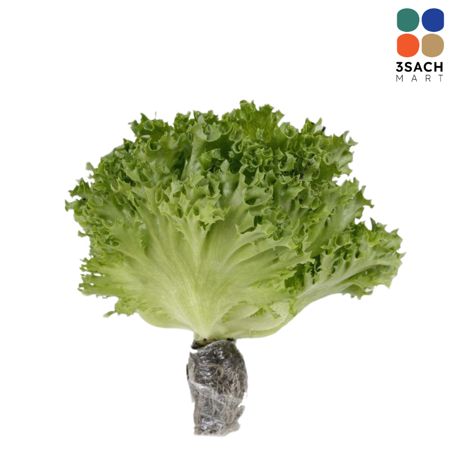  Xà Lách Thủy Tinh Thủy Canh (300g) 