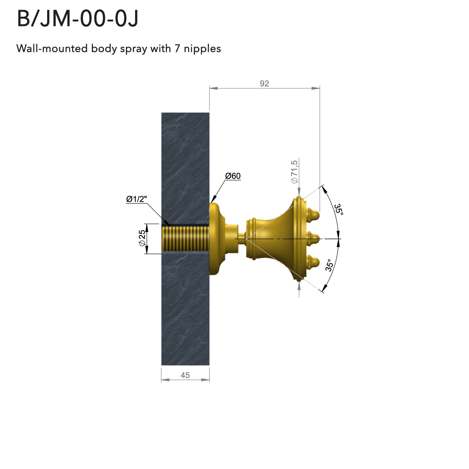  Vòi phun massage gắn tường bằng đồng Carpe & Lyre - B / JM-00-0J 