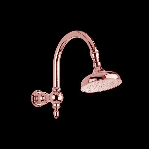  Bát sen Ø160mm gắn tường bằng đồng Carpe & Lyre - L / 00-00-5B 