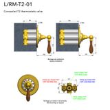 Valve điều nhiệt 2 đầu ra gắn tường bằng đồng Carpe & Lyre - L / RM-T2-01 