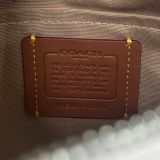 967 - Túi Coach Teri Shoulder Bag With Cherry Print - CZ774 SVCAH