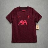 Áo Liverpool 2022/23 Pre Match Tranning Soccer Jersey Nike - DJ8562-60 - 1326