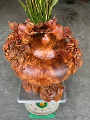 Tượng Phong Thuỷ - Bình nu sóc Cao 48cm, ngang 40cm, sâu 32cm -  Gỗ Nu hương