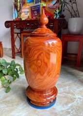 Chum chóe gỗ cẩm pandosa vân đẹp cao 68cm