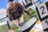 Baltimore Black Ace Ver 1/6 - Azur Lane | Hanabee Figure