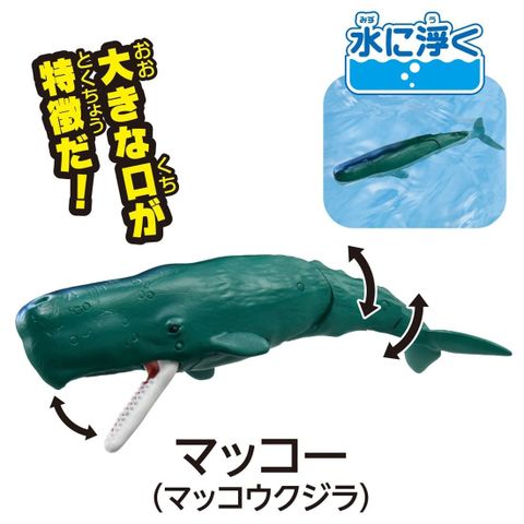 Rutta Temp Dragon Island Ver. - Adventure Continent Ania Kingdom Temp | Takara Tomy Goods