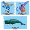 Rutta Temp Dragon Island Ver. - Adventure Continent Ania Kingdom Temp | Takara Tomy Goods