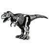 Tyrannosaurus Skeleton Sample Ver. - Ania | Takara Tomy Figure