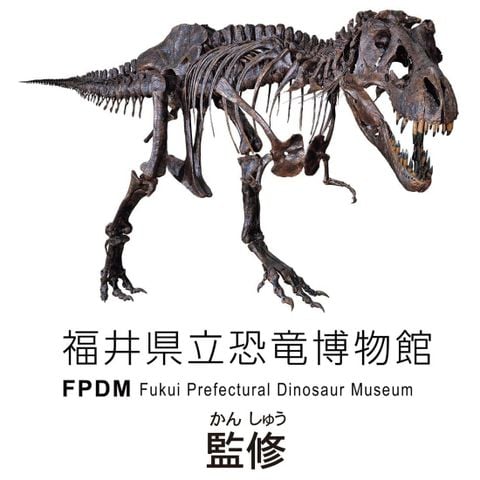 Tyrannosaurus Skeleton Sample Ver. - Ania | Takara Tomy Figure