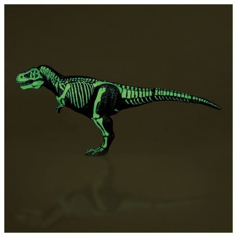 Tyrannosaurus Skeleton Sample Ver. - Ania | Takara Tomy Figure