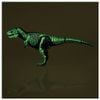 Tyrannosaurus Skeleton Sample Ver. - Ania | Takara Tomy Figure