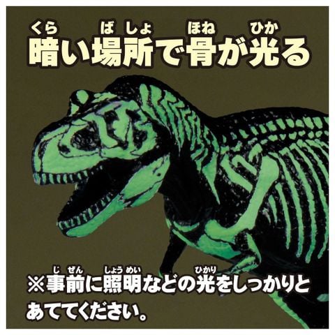 Tyrannosaurus Skeleton Sample Ver. - Ania | Takara Tomy Figure